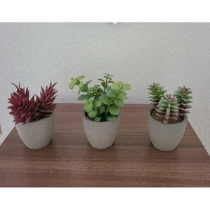New Artificial Plants, 3 Pack Realistic Faux Succulents in Pots with Flower